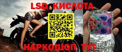 гидра Гусев