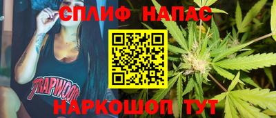 гидра Гусев