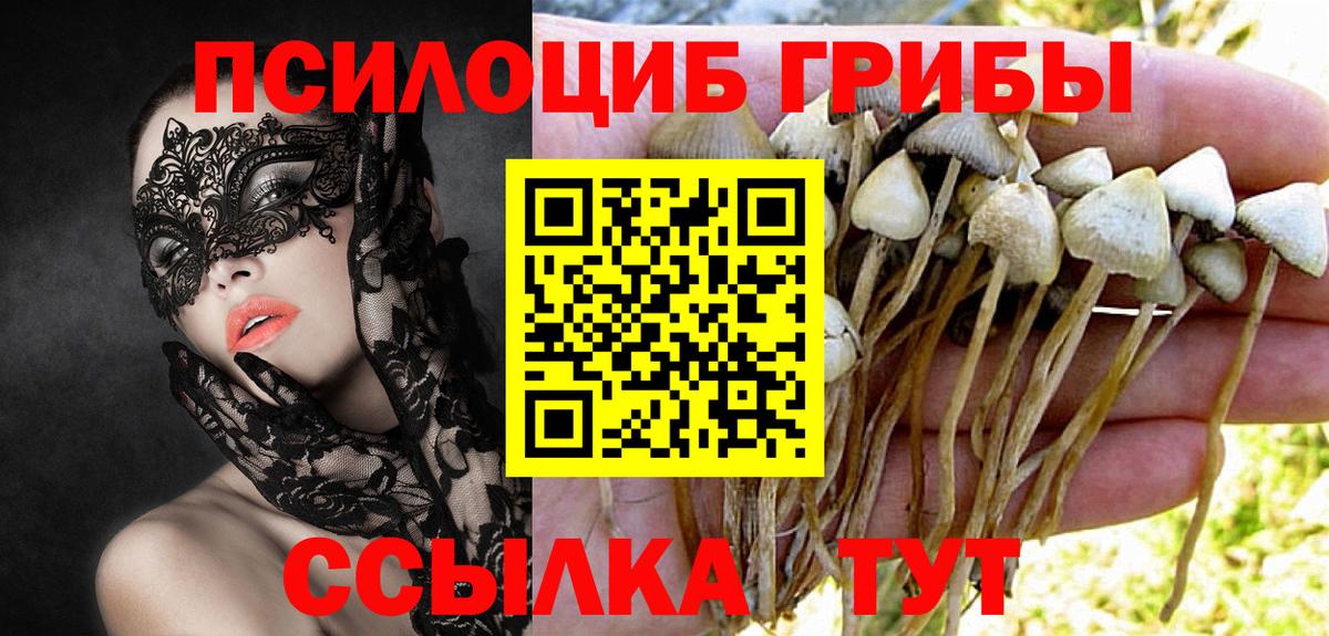 Псилоцибиновые грибы ЛСД Новочеркасск