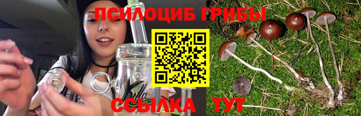 Галлюциногенные грибы Magic Shrooms  Галлюциногенные грибы Magic Shrooms  Вход с VPN  Новочеркасск 